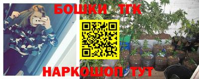 гашик Заводоуковск
