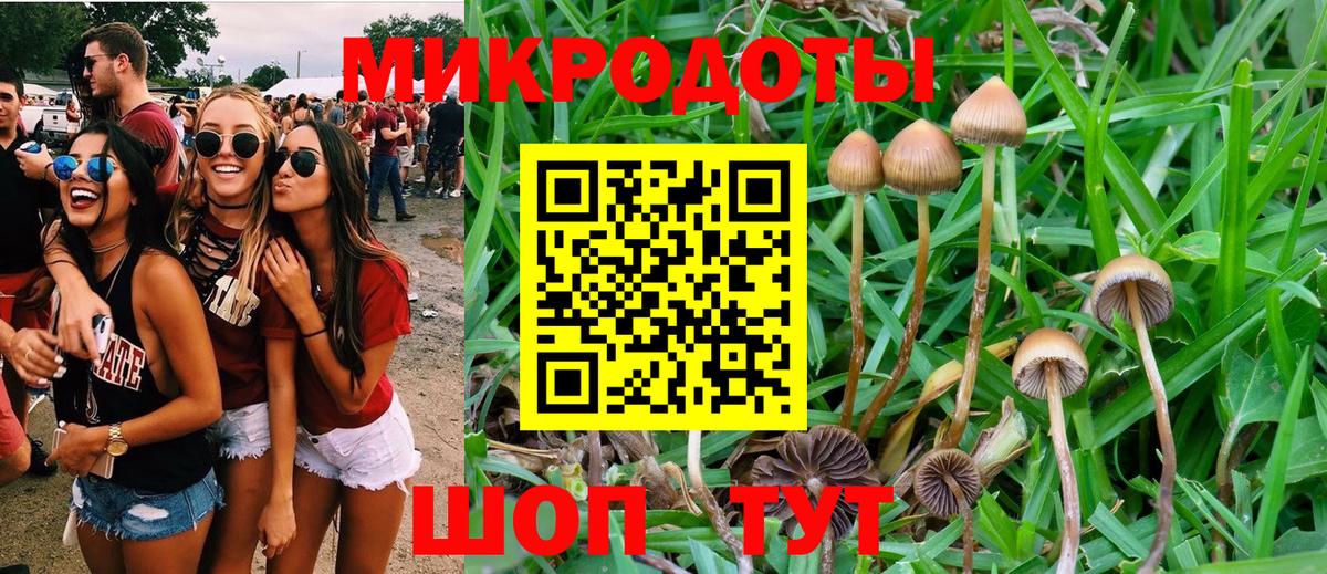 Псилоцибиновые грибы GOLDEN TEACHER  Вход с VPN  купить наркотики сайты  Псилоцибиновые грибы Magic Shrooms  Егорьевск 